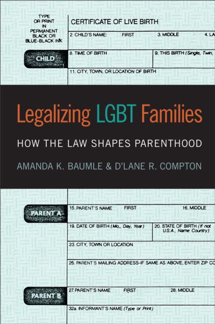 Legalizing LGBT Families : How the Law Shapes Parenthood, EPUB eBook