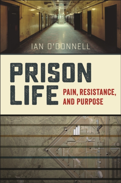 Prison Life : Pain, Resistance, and Purpose, Paperback / softback Book