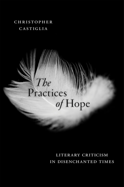 The Practices of Hope : Literary Criticism in Disenchanted Times, EPUB eBook