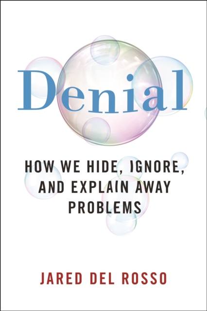 Denial : How We Hide, Ignore, and Explain Away Problems, Paperback / softback Book