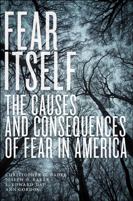 Fear Itself : The Causes and Consequences of Fear in America, EPUB eBook