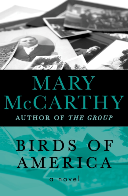 Birds of America : A Novel, PDF eBook