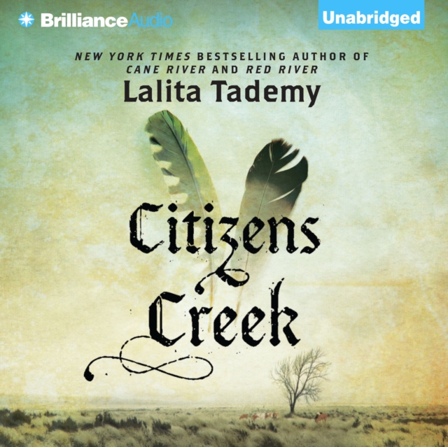 Citizens Creek : A Novel, eAudiobook MP3 eaudioBook
