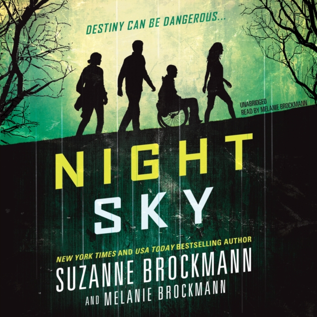Night Sky, eAudiobook MP3 eaudioBook