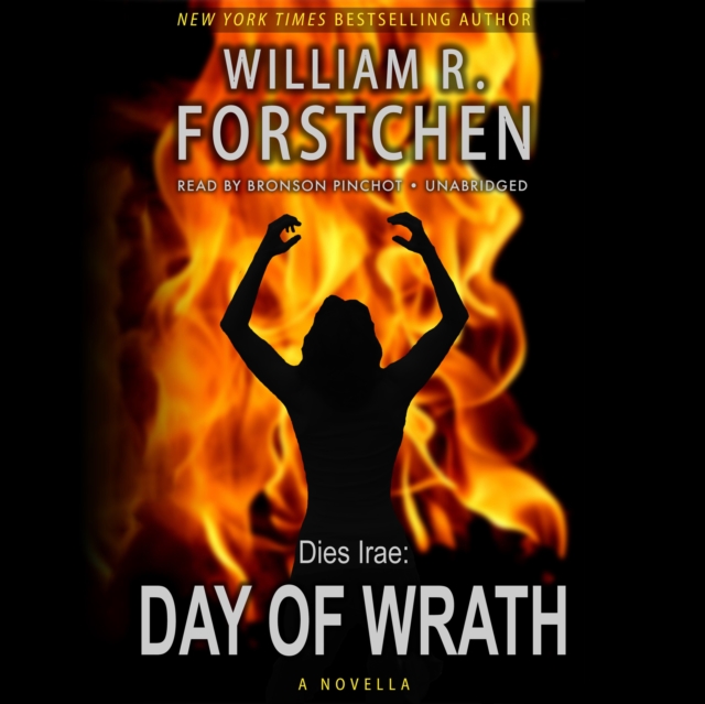 Day of Wrath, eAudiobook MP3 eaudioBook