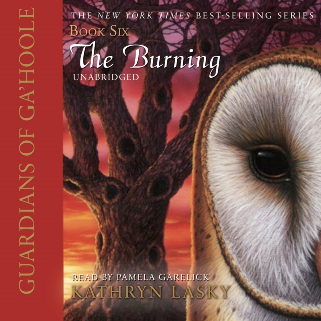 The Burning, eAudiobook MP3 eaudioBook