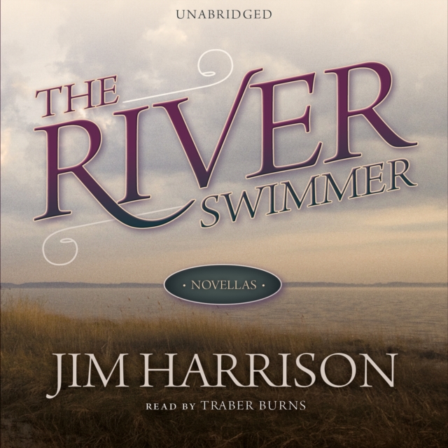 The River Swimmer, eAudiobook MP3 eaudioBook