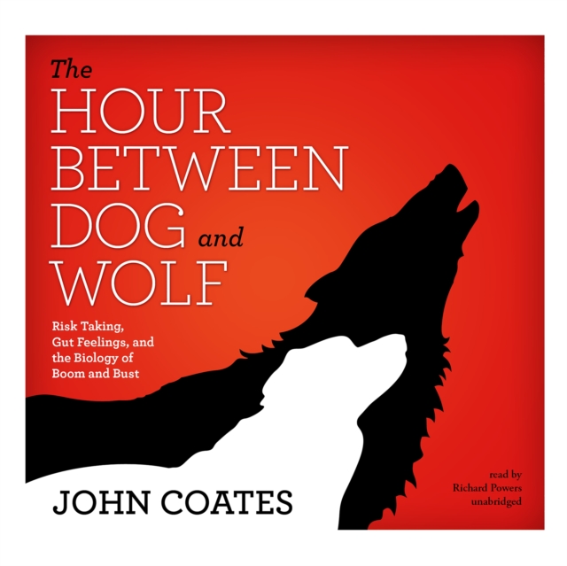 The Hour between Dog and Wolf, eAudiobook MP3 eaudioBook