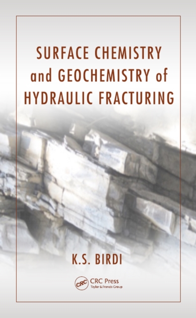 Surface Chemistry and Geochemistry of Hydraulic Fracturing, PDF eBook