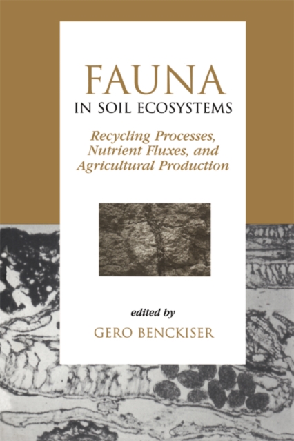 Fauna in Soil Ecosystems : Recycling Processes, Nutrient Fluxes, and Agricultural Production, PDF eBook