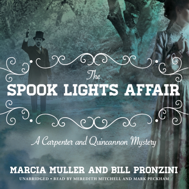 The Spook Lights Affair, eAudiobook MP3 eaudioBook
