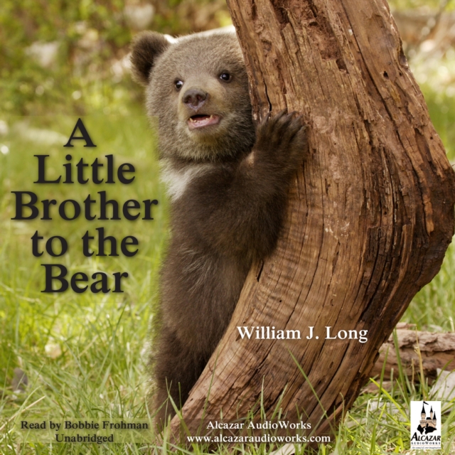 A Little Brother to the Bear, and Other Animal Stories, eAudiobook MP3 eaudioBook