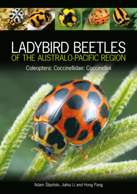 Ladybird Beetles of the Australo-Pacific Region : Coleoptera: Coccinellidae: Coccinellini, EPUB eBook