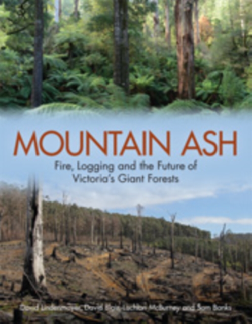 Mountain Ash : Fire, Logging and the Future of Victoria's Giant Forests, PDF eBook