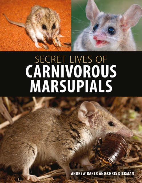 Secret Lives of Carnivorous Marsupials, PDF eBook