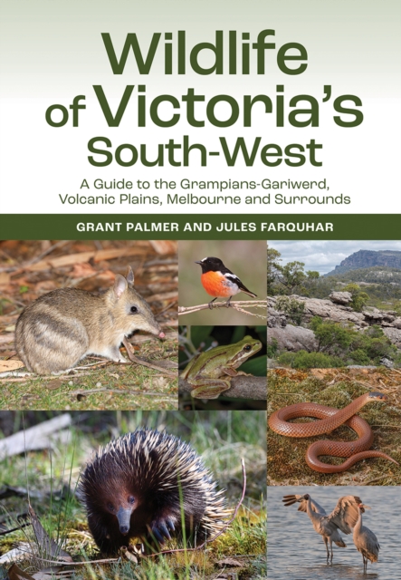 Wildlife of Victoria's South-West : A Guide to the Grampians-Gariwerd, Volcanic Plains, Melbourne and Surrounds, EPUB eBook