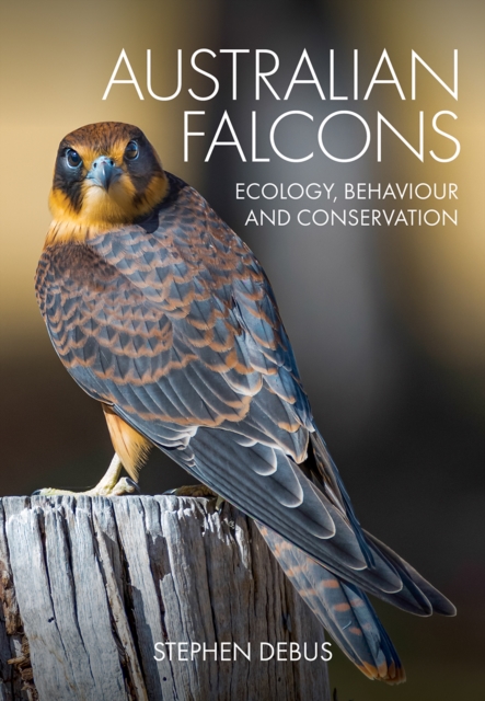 Australian Falcons : Ecology, Behaviour and Conservation, EPUB eBook