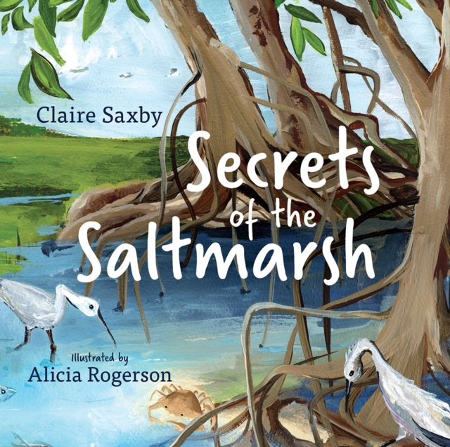 Secrets of the Saltmarsh, EPUB eBook