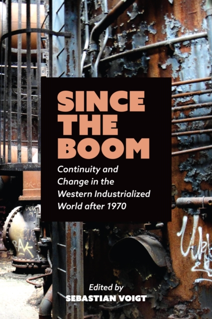 Since the Boom : Continuity and Change in the Western Industrialized World after 1970, PDF eBook