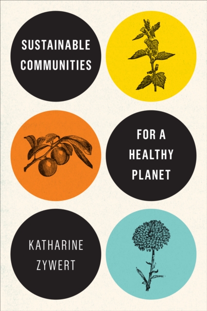 Sustainable Communities for a Healthy Planet, Hardback Book