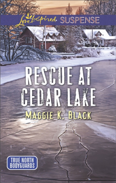 Rescue at Cedar Lake, EPUB eBook