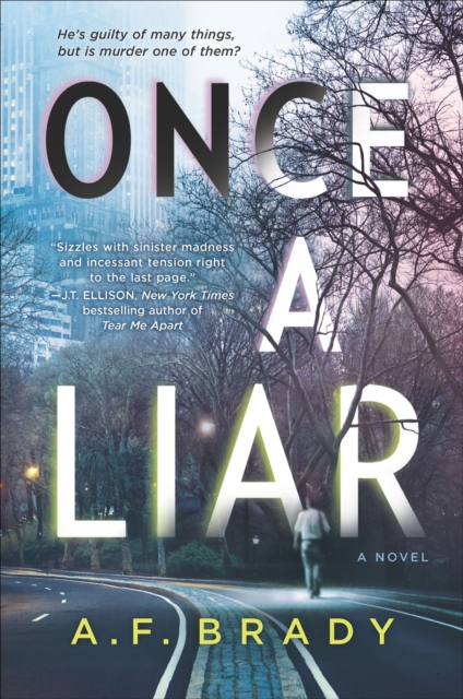 Once a Liar : A Novel, EPUB eBook