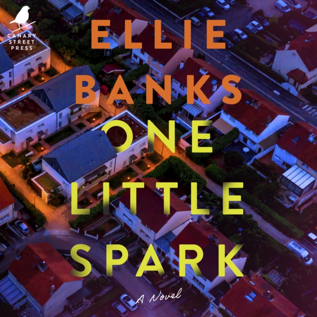 One Little Spark, eAudiobook MP3 eaudioBook