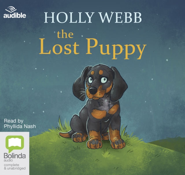 The Lost Puppy, CD-Audio Book