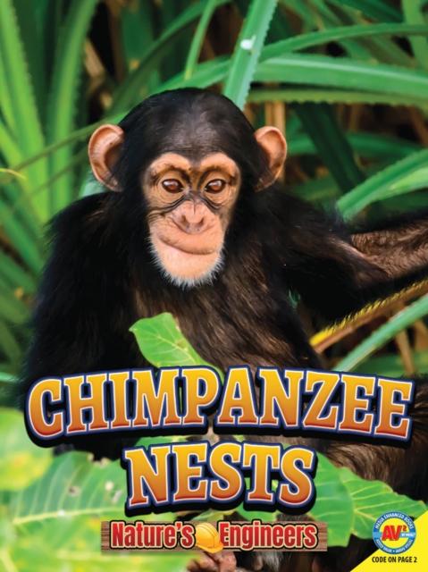 Chimpanzee Nests, PDF eBook