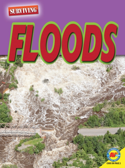 Floods, PDF eBook