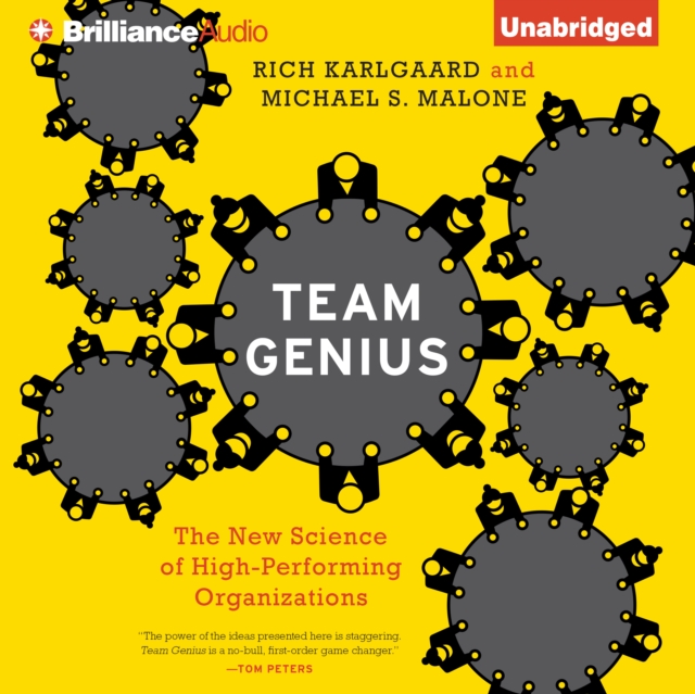 Team Genius : The New Science of High-Performing Organizations, eAudiobook MP3 eaudioBook