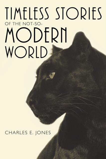 Timeless Stories of the Not-So-Modern World, EPUB eBook