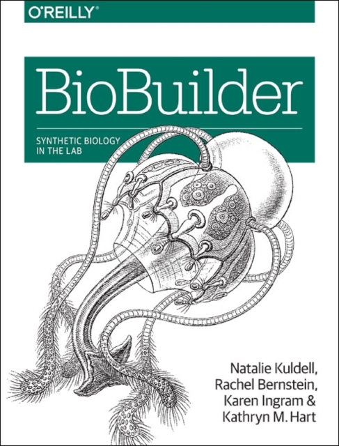 BioBuilder, Paperback / softback Book