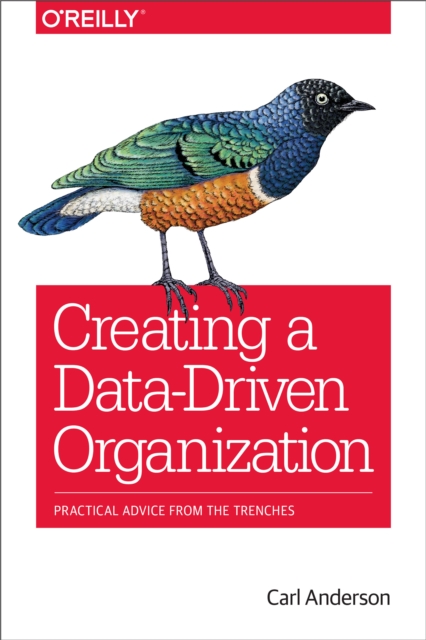 Creating a Data-Driven Organization : Practical Advice from the Trenches, EPUB eBook
