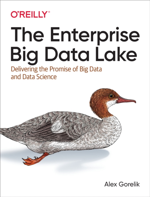 The Enterprise Big Data Lake : Delivering the Promise of Big Data and Data Science, PDF eBook