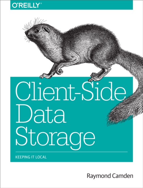 Client-Side Data Storage : Keeping It Local, PDF eBook