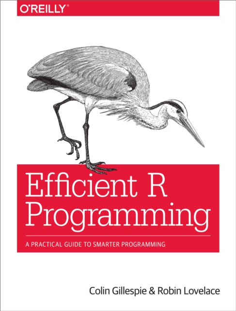 Efficient R Programming : A Practical Guide to Smarter Programming, PDF eBook