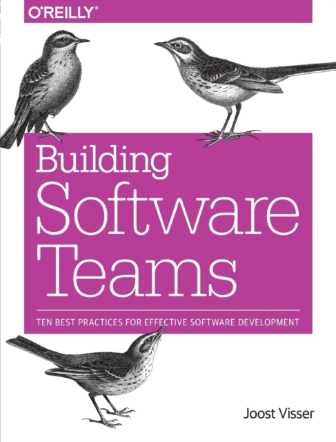 Building Software Teams, Paperback / softback Book