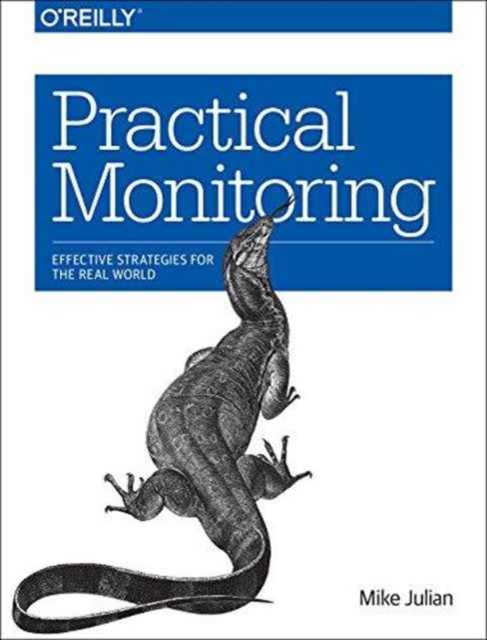 Practical Monitoring : Effective Strategies for the Real World, Paperback / softback Book