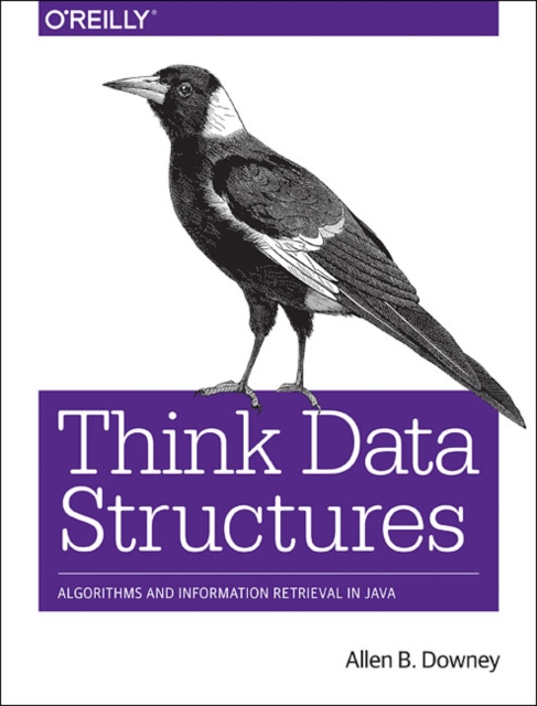 Think Data Structures : Algorithms and Information Retrieval in Java, Paperback / softback Book