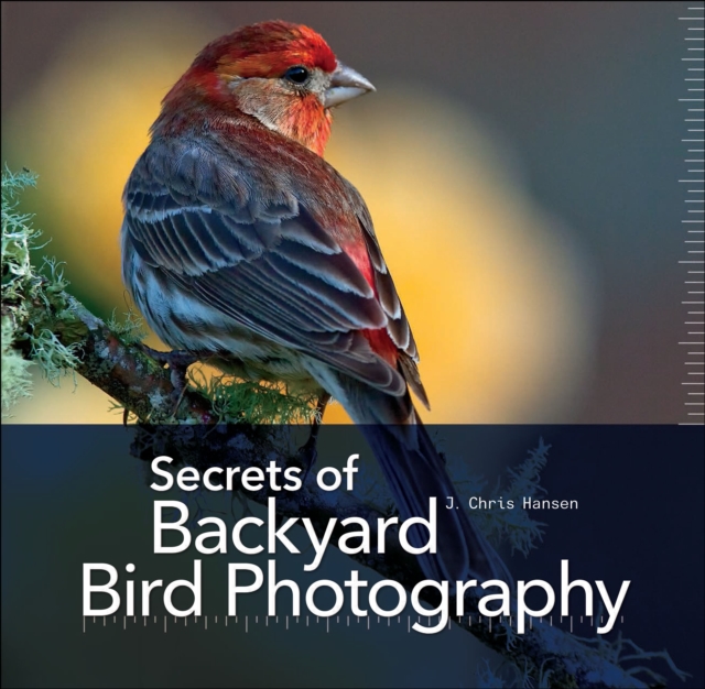 Secrets of Backyard Bird Photography, PDF eBook