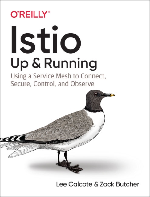 Istio: Up and Running : Using a Service Mesh to Connect, Secure, Control, and Observe, Paperback / softback Book