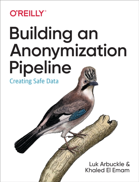 Building an Anonymization Pipeline : Creating Safe Data, PDF eBook
