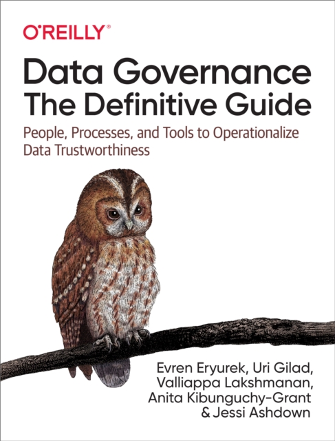 Data Governance: The Definitive Guide, EPUB eBook