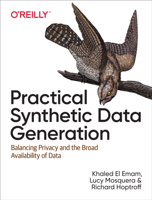 Practical Synthetic Data Generation : Balancing Privacy and the Broad Availability of Data, PDF eBook