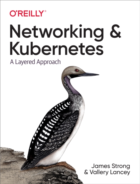 Networking and Kubernetes, PDF eBook