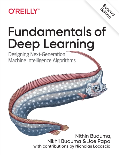 Fundamentals of Deep Learning, EPUB eBook