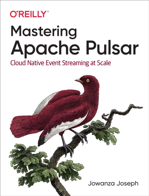 Mastering Apache Pulsar, EPUB eBook