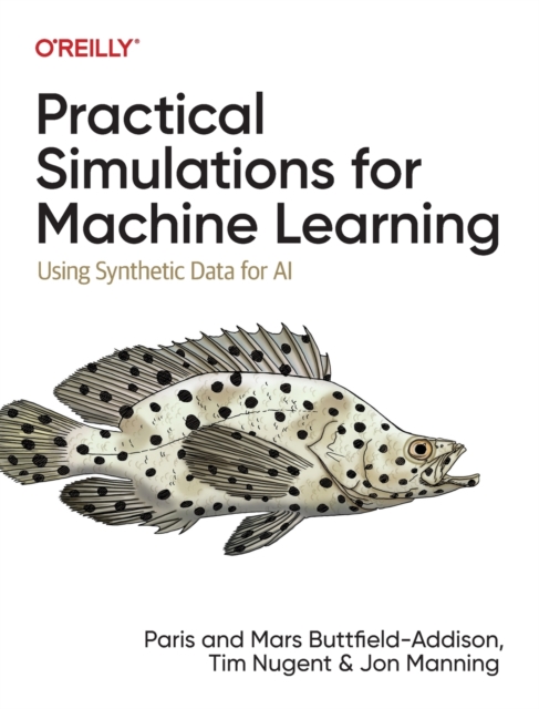 Practical Simulations for Machine Learning : Using Synthetic Data for AI, Paperback / softback Book