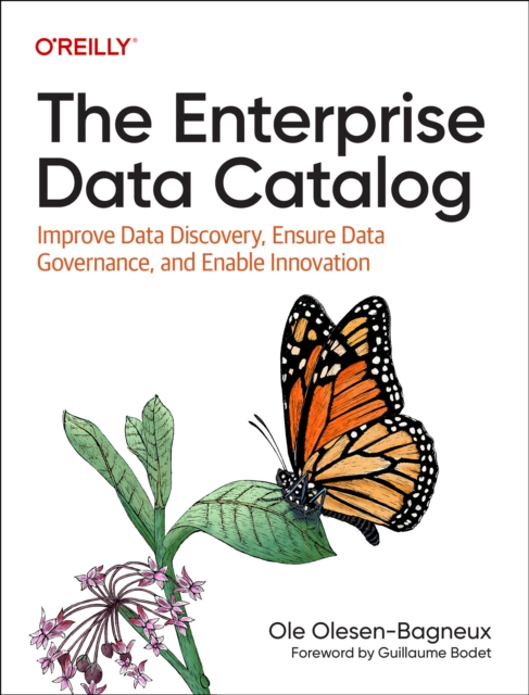 The Enterprise Data Catalog : Improve Data Discovery, Ensure Data Governance, and Enable Innovation, Paperback / softback Book